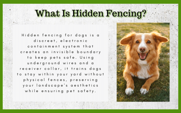 Image showcasing Why Choose a Hidden Fence Over Traditional Fencing for Your Dogs?
